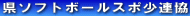 ���\�t�g�{�[���X�|���A��
